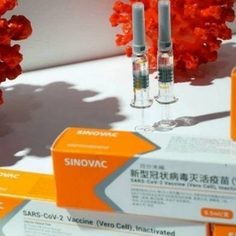 Anvisa autoriza retomada de testes da Coronavac